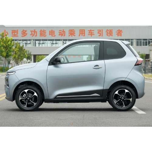 NEW MINI ELECTRIC CAR FOR ADULTS HIGH SPEED ELECTRIC VEHICLE